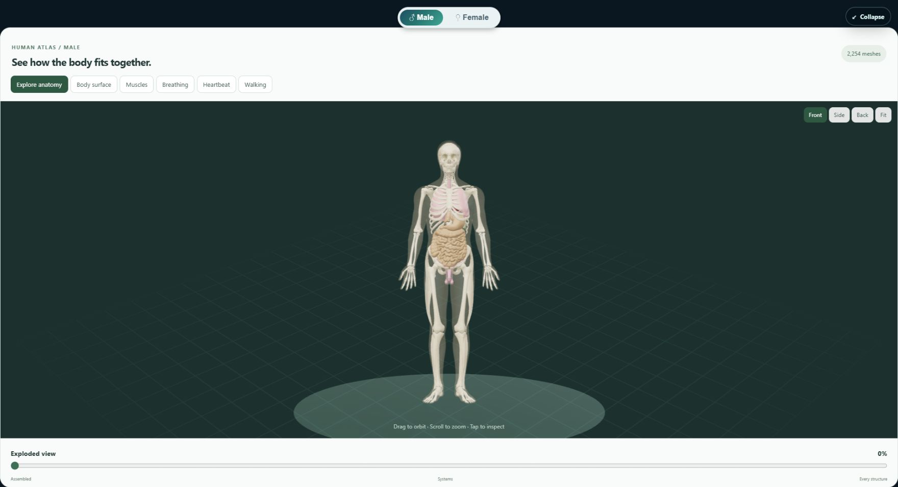 Actual OpenMedical Digital Twin showing the male anatomical model